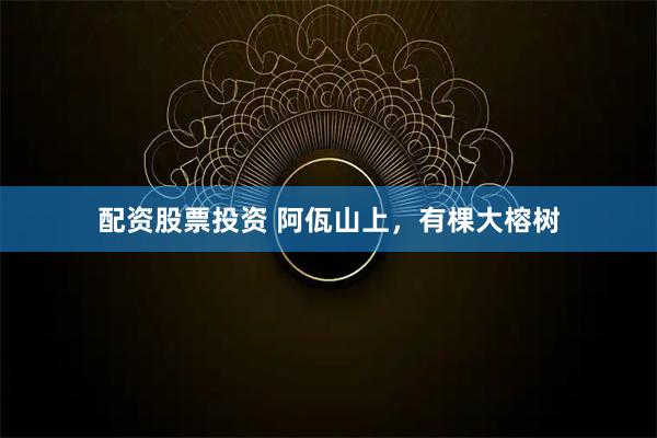 配资股票投资 阿佤山上，有棵大榕树